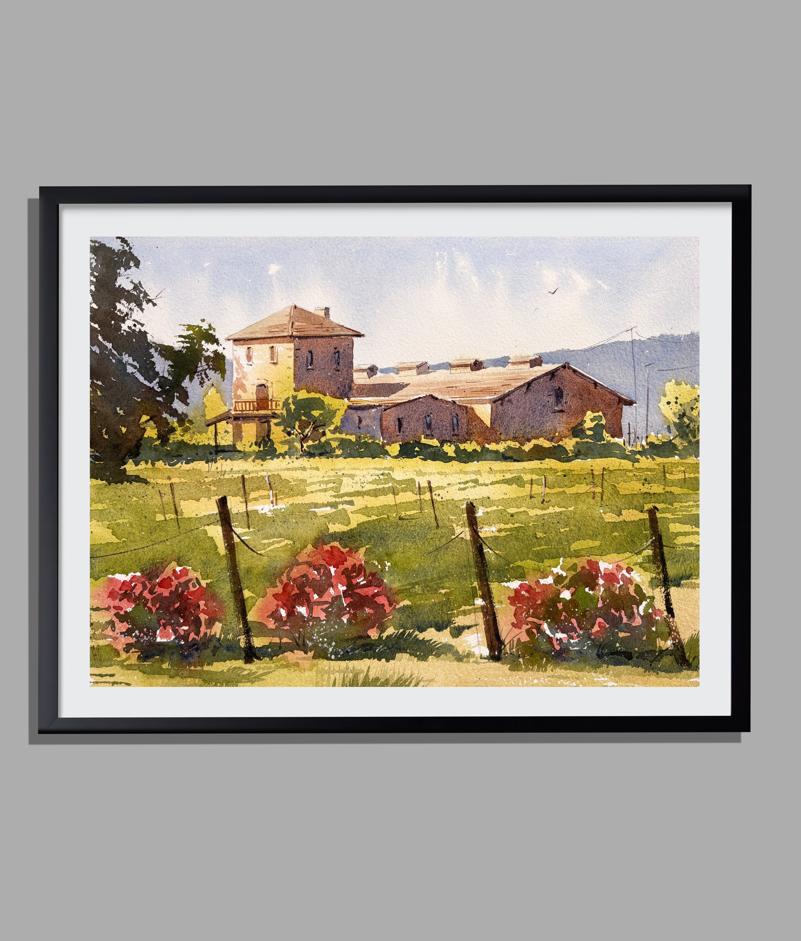 Original Napa Valley Watercolor Painting — Sunlit Vineyards, California Wine Country Art