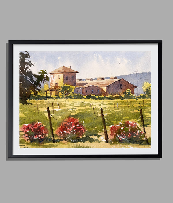 Original Napa Valley Watercolor Painting — Sunlit Vineyards, California Wine Country Art