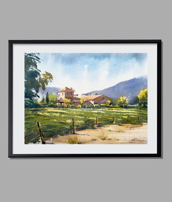 Napa Valley Watercolor — Sunny California Wine Country Landscape